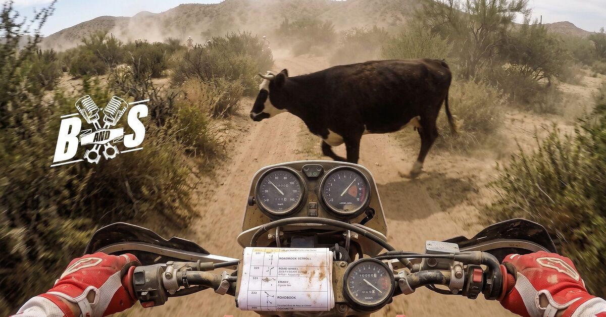 Όταν ο Johnny Campbell χτύπησε αγελάδα στη Baja 1000