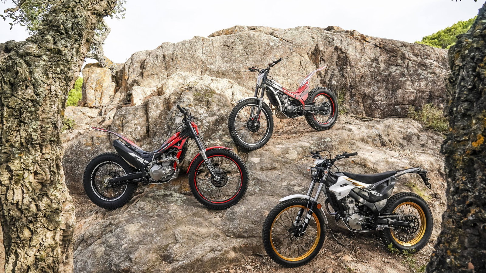 Montesa updates the Cota look for 2027 while 4Ride carries on