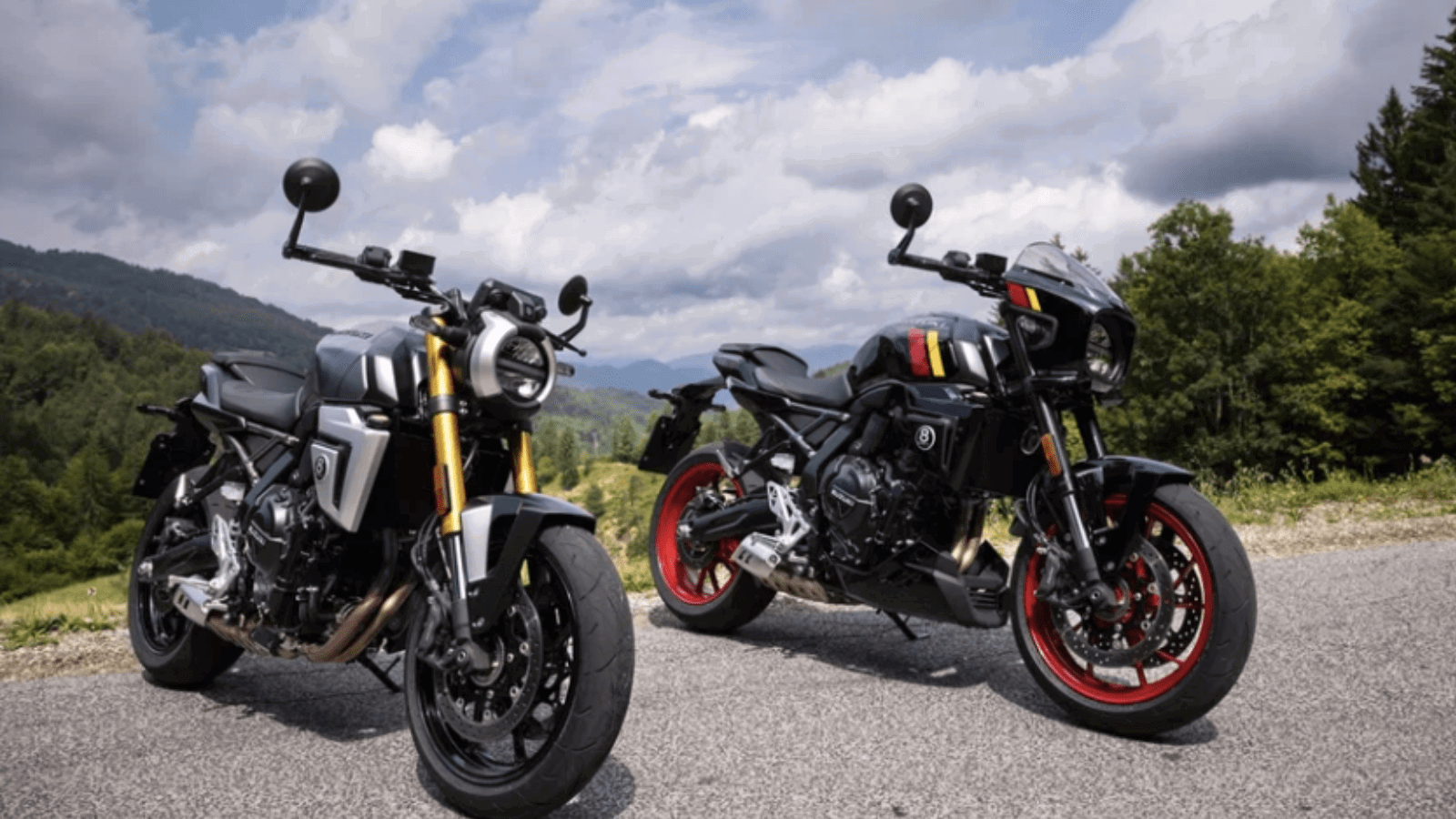 Suzuki tops NMDA survey for pricing and value