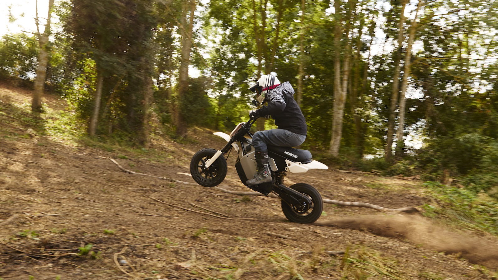 LiveWire S4 Honcho Trail: electric fun with strict limits
