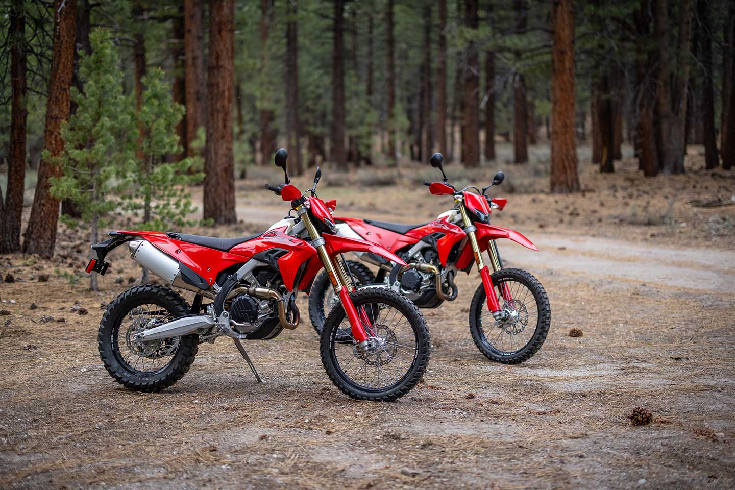 2027 Ducati Desmo450 EDS parked on dirt trail